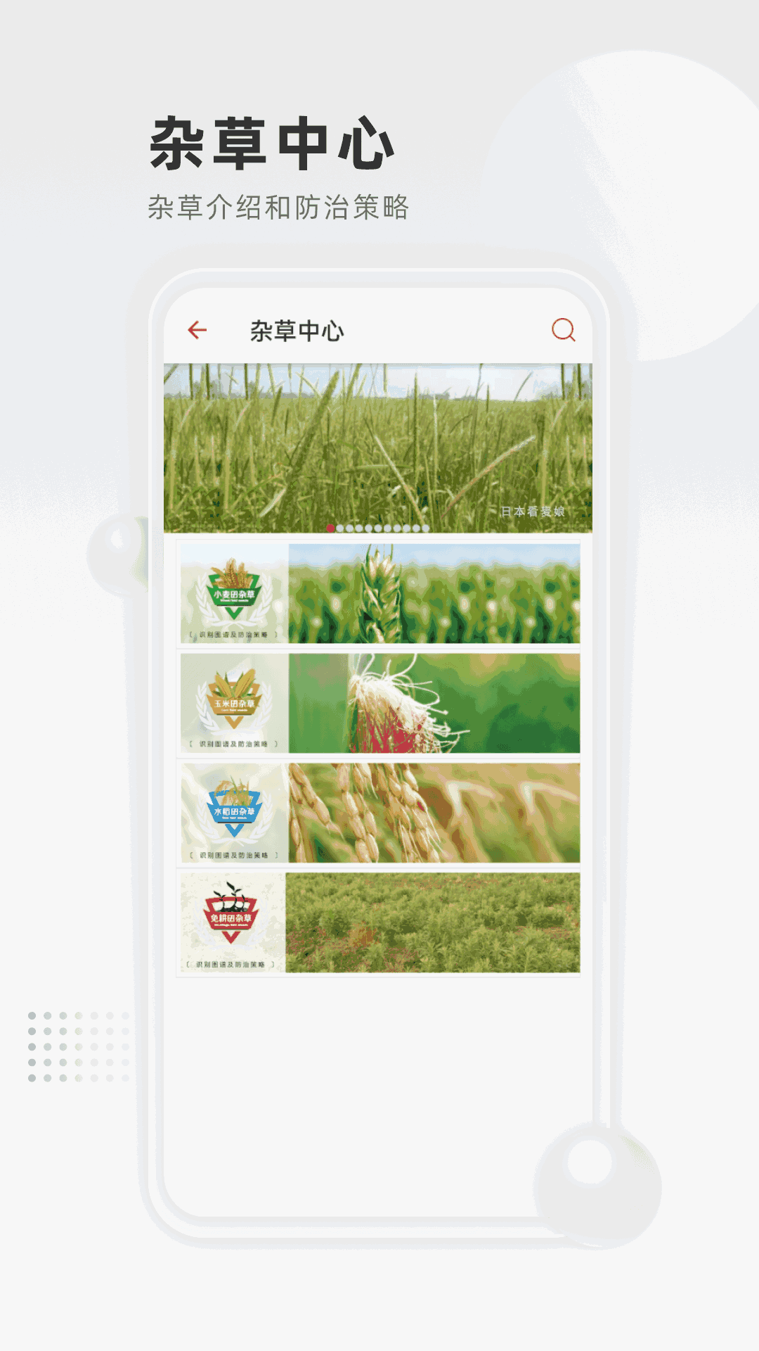 清原农冠
